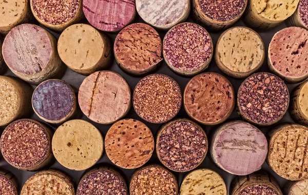 Verschillende wijn kurk — Stockfoto