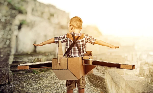 Kleine vlieger terug bekijken — Stockfoto