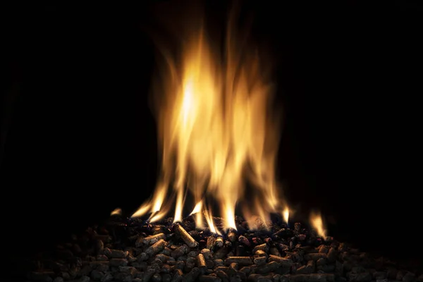 Holzpellets mit scharfer Flamme verbrennen. — Stockfoto