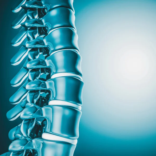 Menselijke spinal bone 3d — Stockfoto