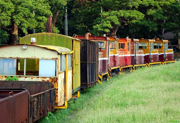 Tren diesel de ancho estrecho viejo — Foto de Stock