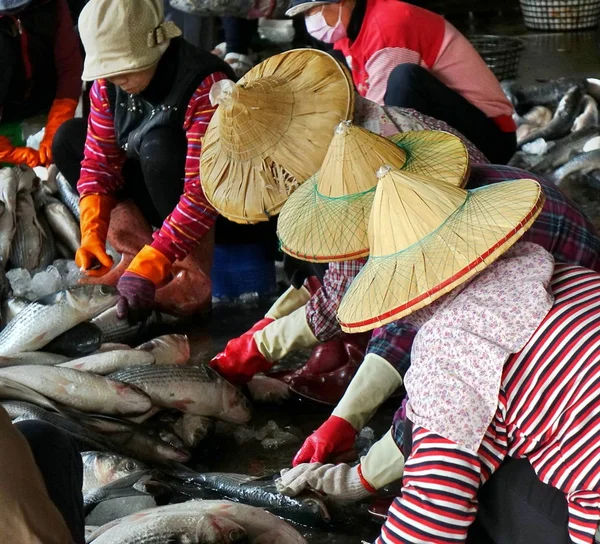 Dělníci sklízet čerstvé jikry z šedá pruhovaná ryb — Stock fotografie