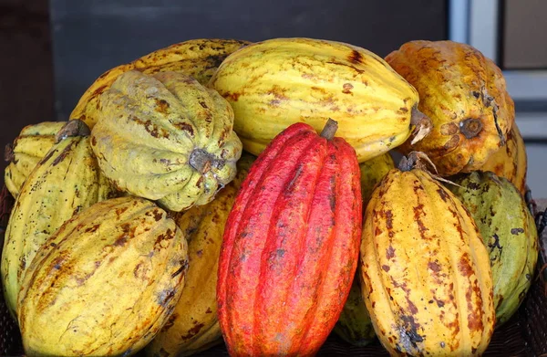 Een stapel van Cacao peulen — Stockfoto