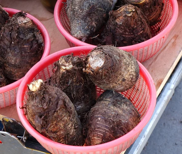 Große Taro-Wurzeln — Stockfoto