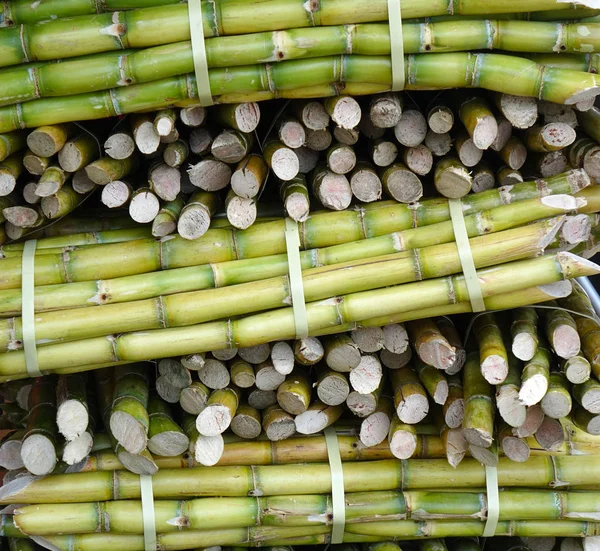 Cut Sugar Cane är förberedd för Juicing — Stockfoto
