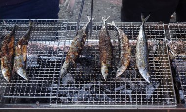 Pasifik Saury Balığı Kömürün Üzerinde Izgara