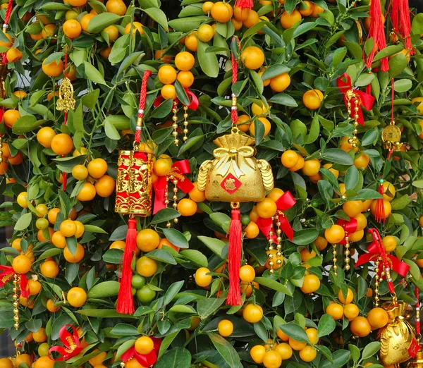 Decorazioni di Capodanno cinese e simboli fortunati — Foto Stock