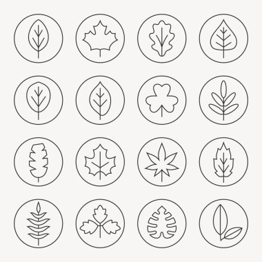 Yaprakları Icons set