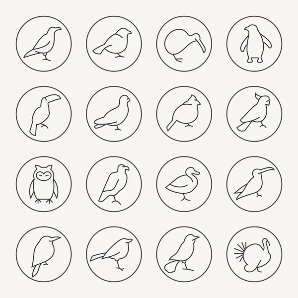 Conjunto de iconos de aves — Vector de stock