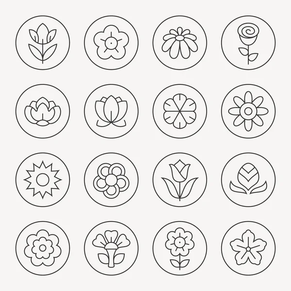 Conjunto de iconos flores — Archivo Imágenes Vectoriales