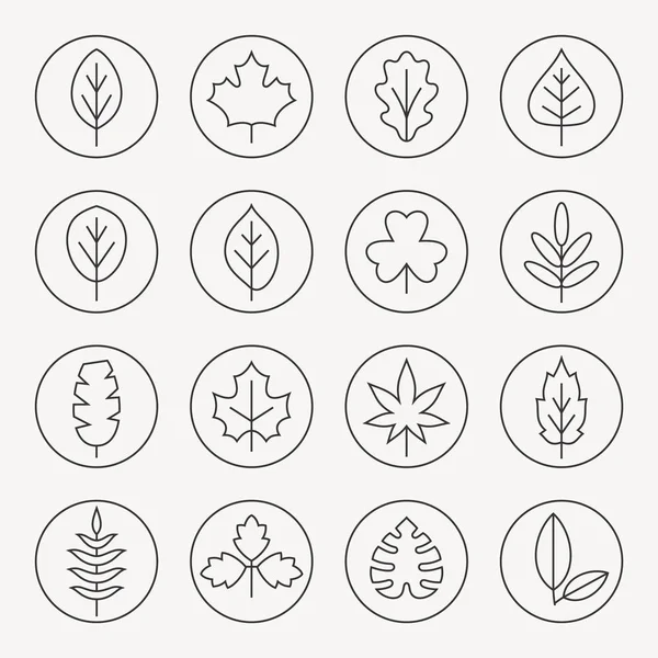 Leaves icons set — Stock Vector
