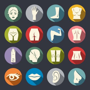 Vücut parçaları Icon set