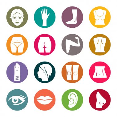 Vücut parçaları Icon set