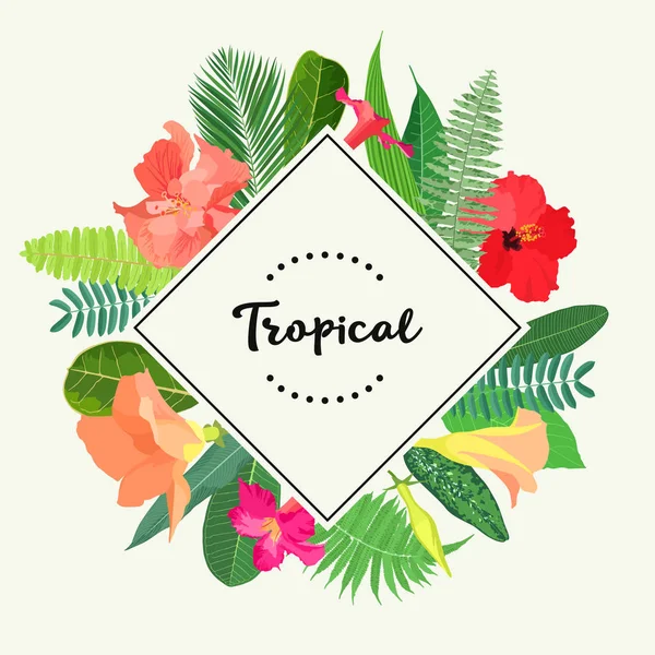 Desenho floral tropical — Vetor de Stock