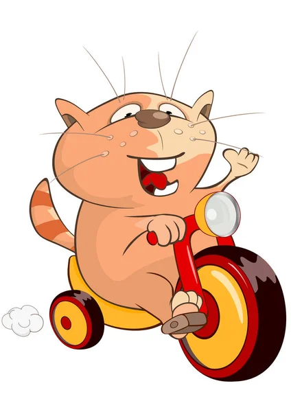 Cartoon cute cat riding bicycle — Stock Vector