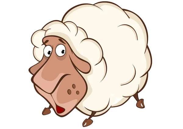 Schattige schapen Cartoon karakter — Stockvector