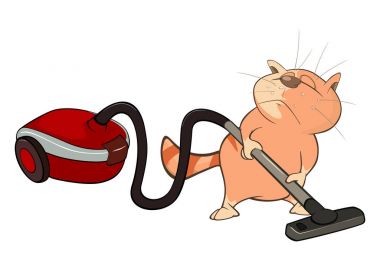 Şirin Çizgi Film Kedisi