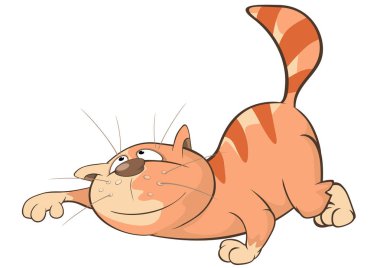 mutlu aile içi sevimli kedi