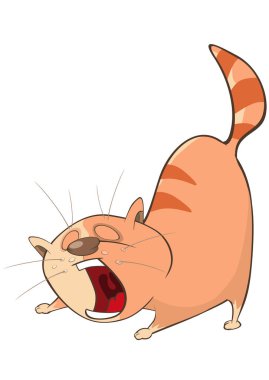 Şirin kedi yawns