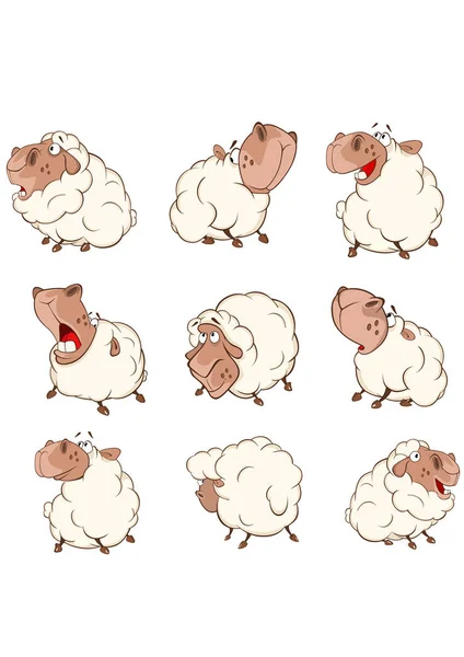 Owce Zestaw Ilustracji Wektorowych — Wektor stockowy