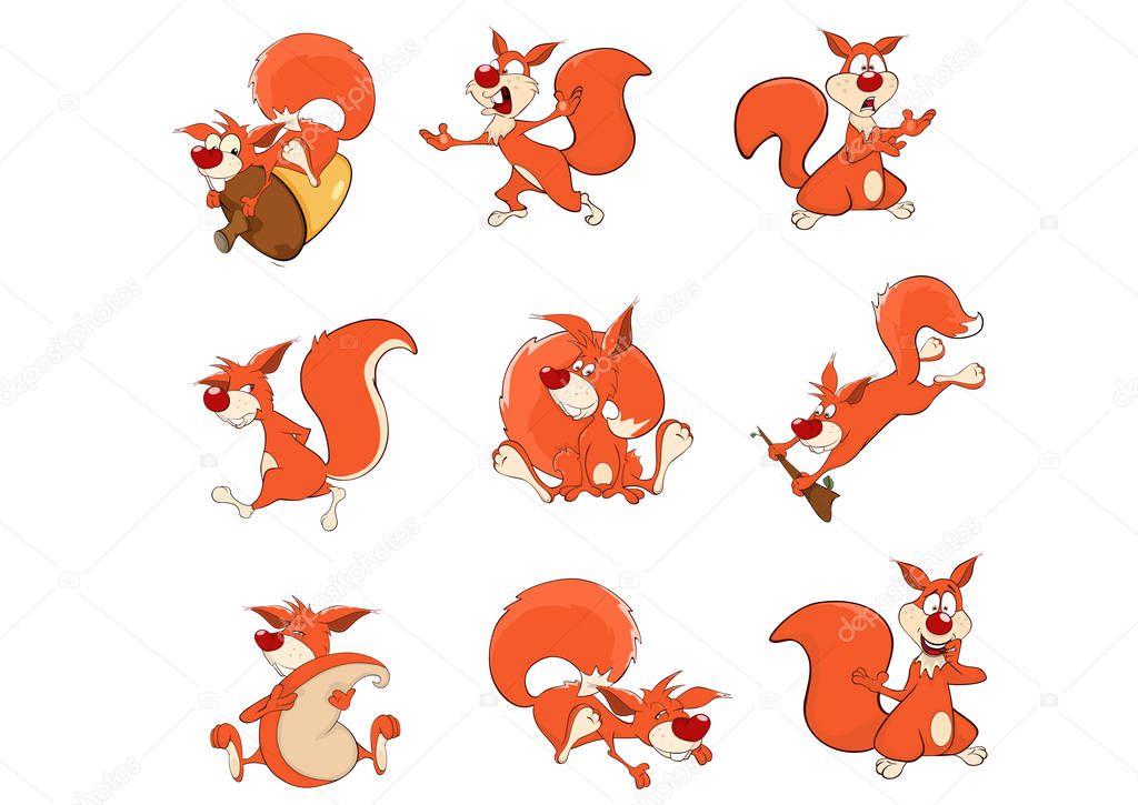 squirrels set vector illustration 