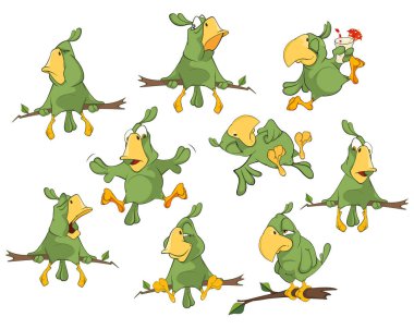 Sevimli yeşil papağan, vektör çizim seti