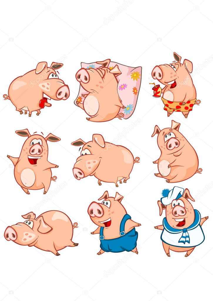Set of colorful hand-drawn pigs cartoon characters, vector illustration