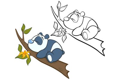 beyaz arkaplanda izole pandalar