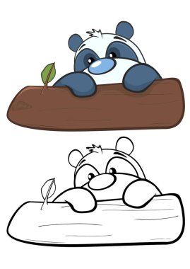 beyaz arkaplanda izole pandalar