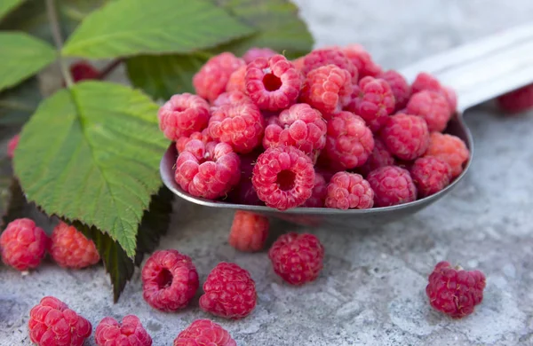 Frambuesas de frutas en la cuchara metálica — Foto de Stock