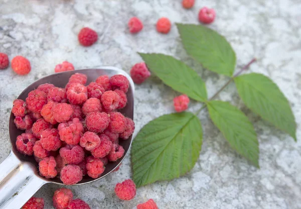 Frambuesas rosadas en la cuchara metálica — Foto de Stock