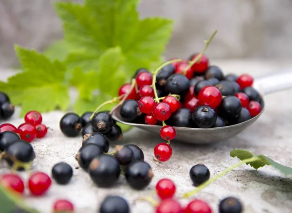 ripe black and red berry currants