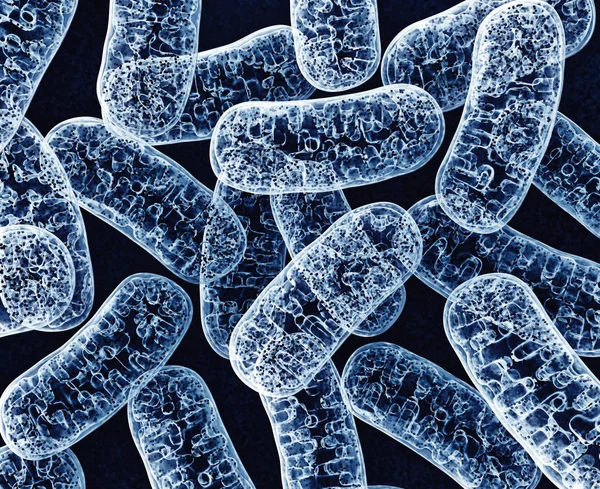 Mitochondria - obgect mikrobiologia — Zdjęcie stockowe
