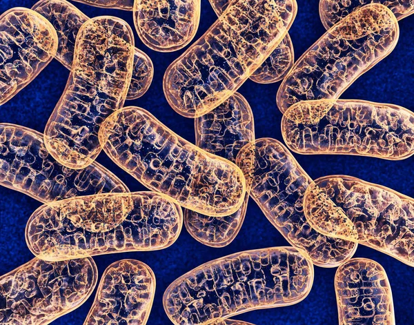 Mitocondrias - obgecto microbiológico — Foto de Stock