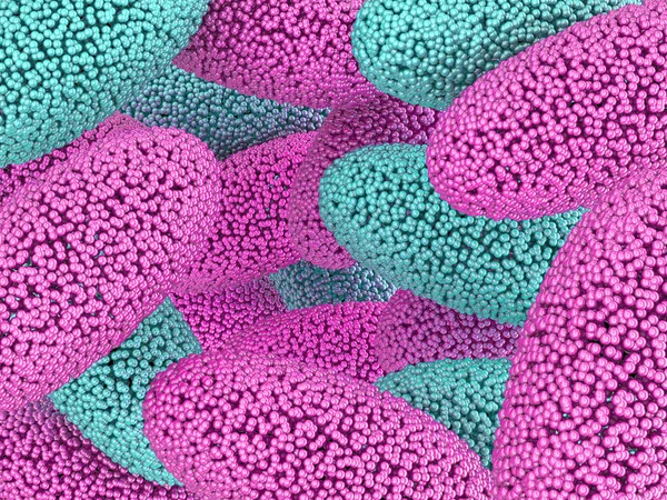 色の細菌の背景 丸い形の表面 イメージ — ストック写真