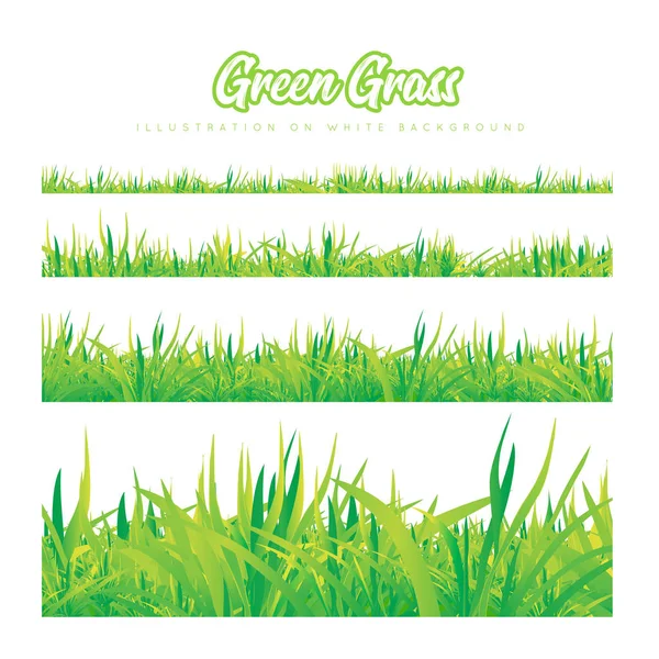 Green grass of different heights — Stock Vector