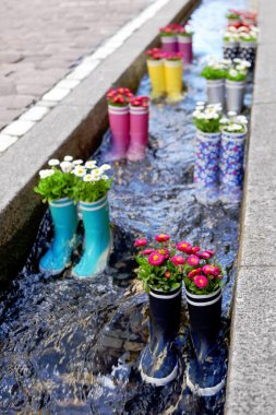 Kauçuk suda Freiburg kentinde çiçekli önyükleme yapar. Turistik.