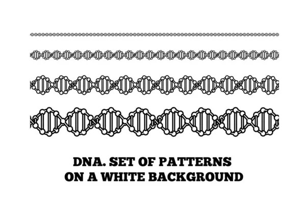 Struktura DNA. Deoxyribonukleová kyselina. Vektorová ilustrace na bílé — Stockový vektor