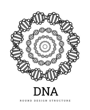 DNA structure. Deoxyribonucleic acid. Vector illustration on white clipart
