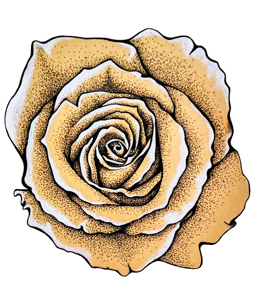 Vintage eski kağıt gül kroki