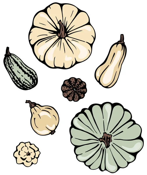 Kabaklar grafik koleksiyonu