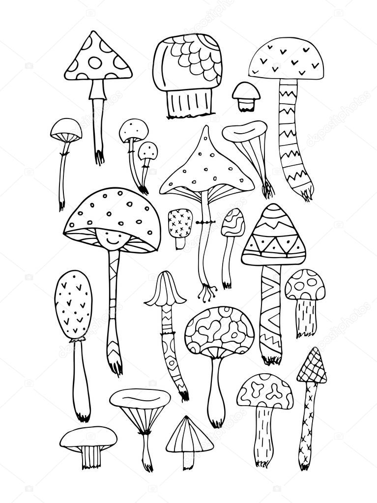 Art mushrooms set, sketch for your design