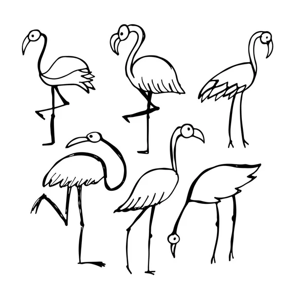 Flamingo, boceto para tu diseño — Vector de stock