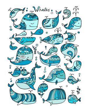 Balinalar koleksiyonu, tasarımınız için kroki