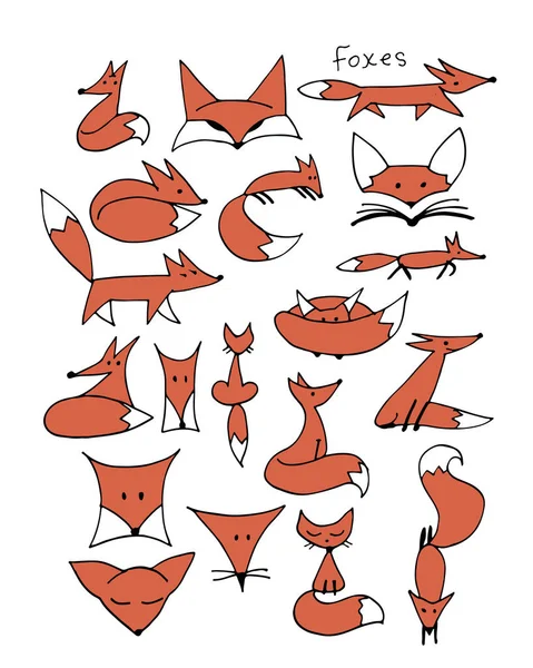 Schattig fox sketch, collectie voor uw ontwerp — Stockvector