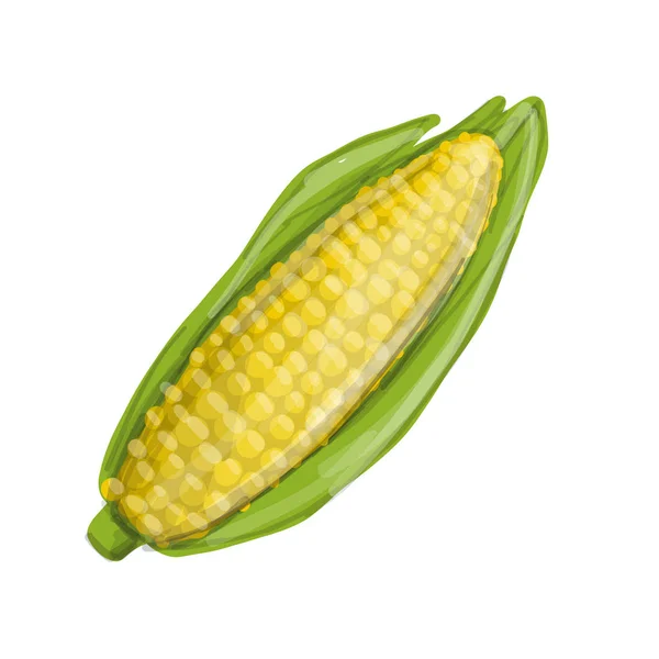 Corncob, boceto para tu diseño — Vector de stock