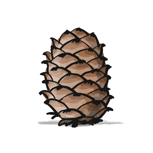 Cedar cone, sketch for your design — Stock Vector