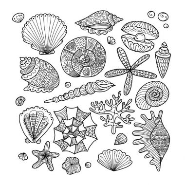 Deniz koleksiyonu, tasarımınız için süslü deniz kabuklarını