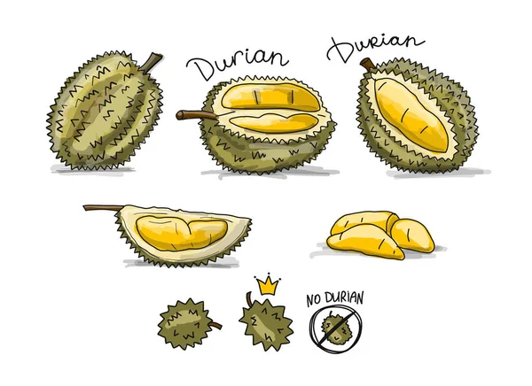 Durian, sketch for your design — Stock Vector