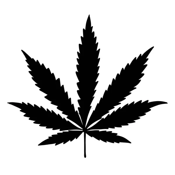 Hoja de cannabis, boceto para su diseño — Archivo Imágenes Vectoriales